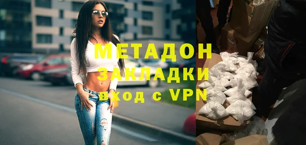 индика Инсар
