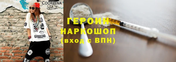 индика Инсар