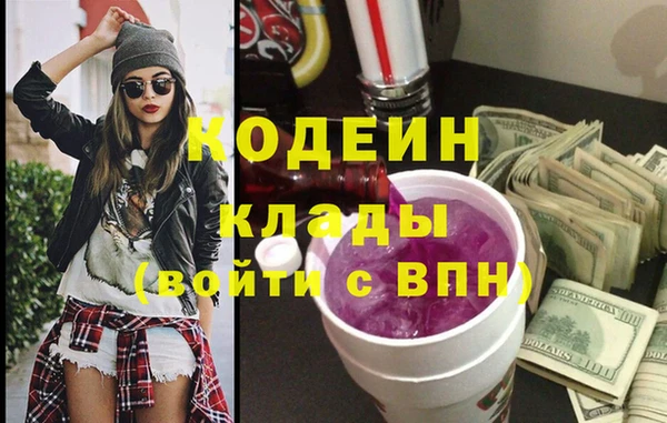 индика Инсар