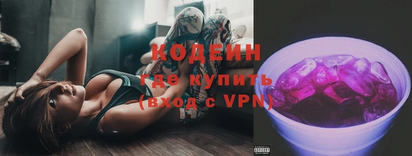 индика Инсар