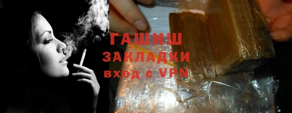 индика Инсар