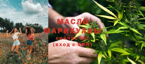 индика Инсар