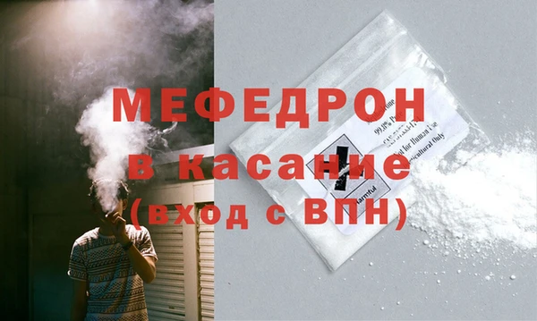 индика Инсар