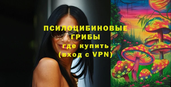 mix Иннополис