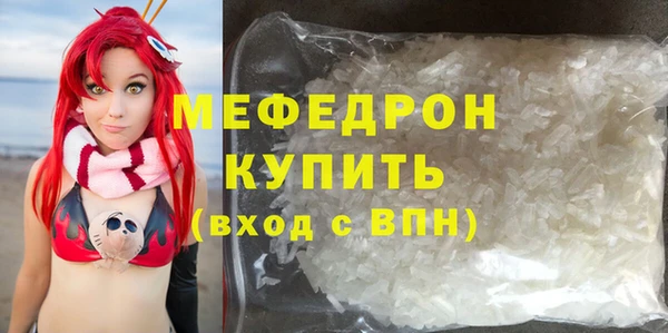 индика Инсар