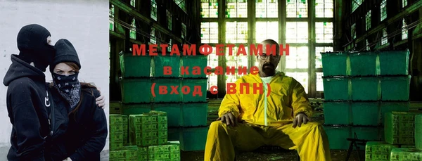 индика Инсар