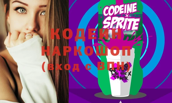 индика Инсар