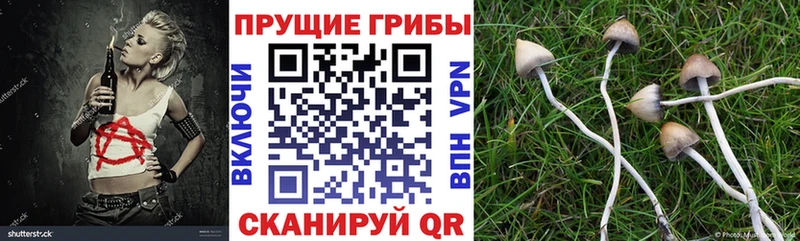 Галлюциногенные грибы Magic Shrooms  Купить где  Муравленко 